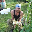 ���� �������, �����-���������, 49 ��� - ��������� 17 ��� 2018 � ������ ���� ����������