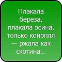 ���� Gohamen, ������ - ��������� 5 ��� 2018 � ������ ������ ��������