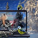 ���� ��������, ������, 53 ���� - ��������� 26 ������� 2017 � ������ ���� ����������