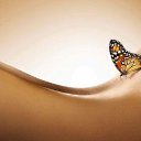  ******,  -  31  2018    