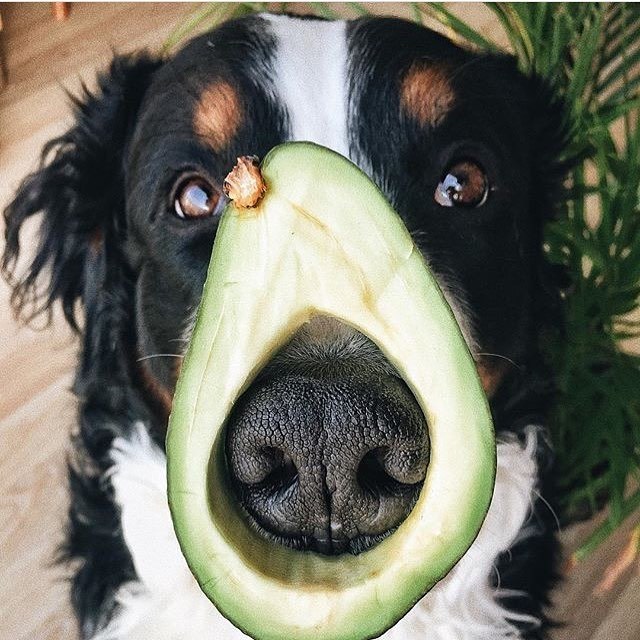  !