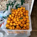 ���� Ctpahhuk, ����, 41 ��� - ��������� 4 ������� 2018 � ������ ������ ��������