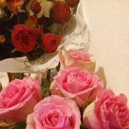 ����, ���, 35 ���