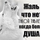 ���� �����, �������� - ��������� 10 ���� 2018 � ������ ������ ��������