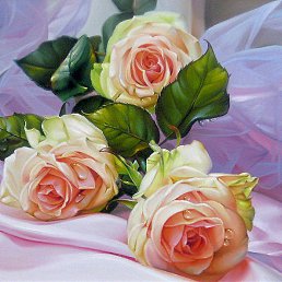 ���� �������, ������-��-���� - ��������� 6 ���� 2018