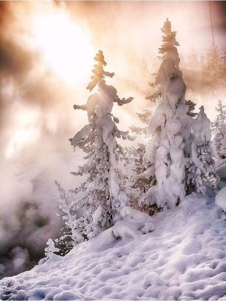  ... #just_travel # # - 6