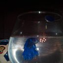 ���� �����.., �����������-��-�����, 47 ��� - ��������� 26 ������� 2018 � ������ ������ ������