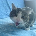 ���� �����, ����������, 40 ��� - ��������� 27 ������� 2017 � ������ ���� ����������