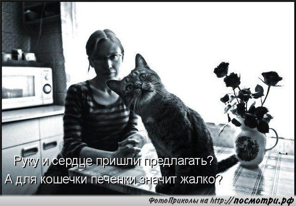    - 2  2018  03:55