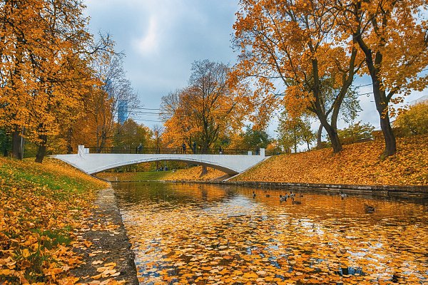 Отражение осени, пока зима набирает обороты :) #fall #autumn #colors #yellow #sony #alpha #citylife ... - 3