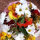 ���� ����, ������, 46 ��� - ��������� 12 ������ 2018 � ������ ���� ����������