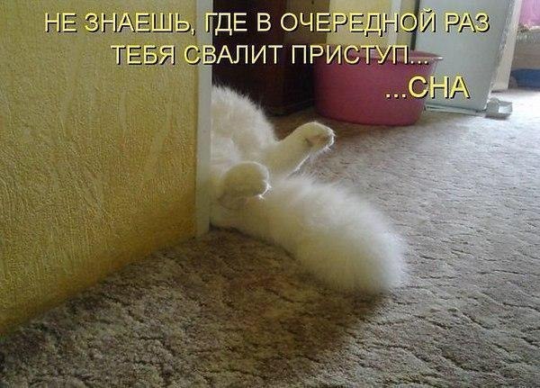  -  - 10  2017  03:27