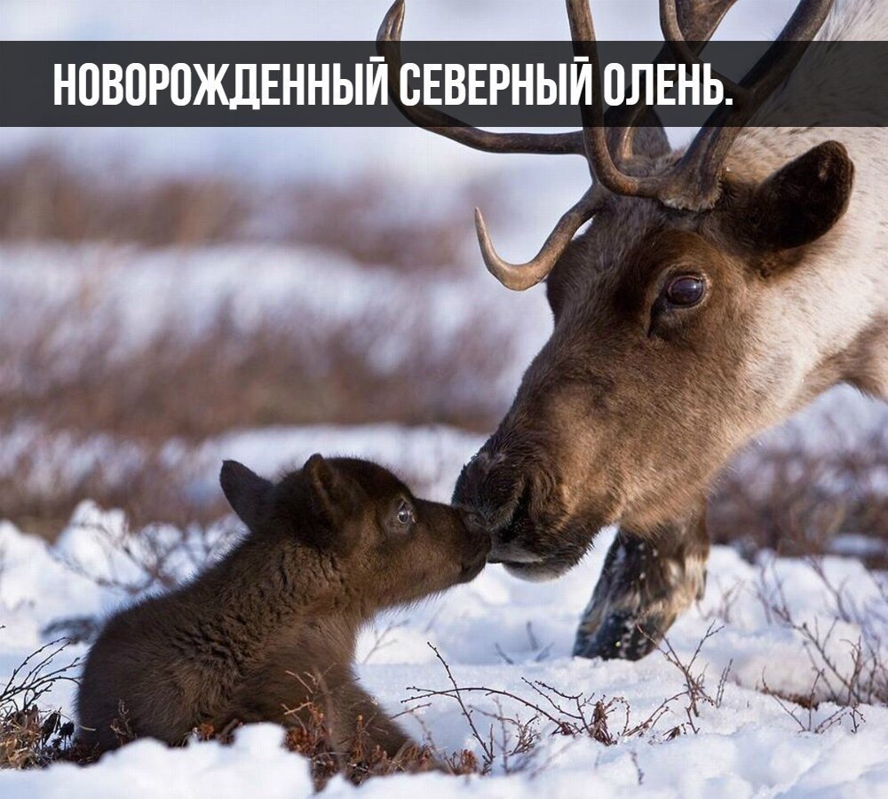 Лайфхак - 9 декабря 2017 в 06:02