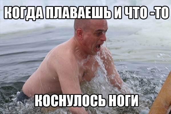    :D - 17  2018  03:43