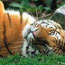 ���� �����, ��������� - ��������� 1 ������ 2018 � ������ ���� ����������