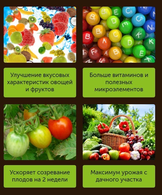 BioGrow Plus       ,   ... - 2