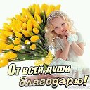 ���� �������...., ������ - ��������� 23 ���� 2018 � ������ ���� ����������