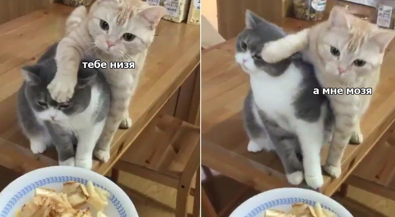 ������ - ��������� - 20 ������ 2018 � 03:53