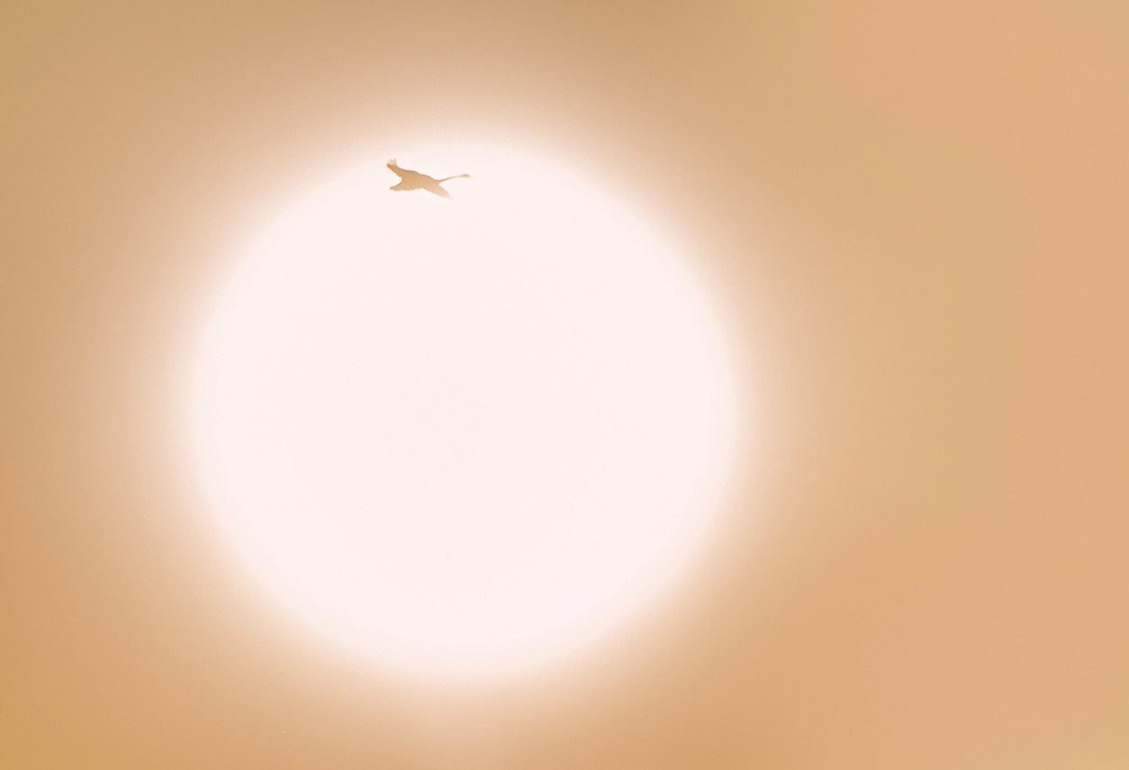  - 10  2017  21:32 - 6