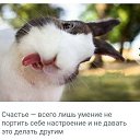  ,  -  30  2018    