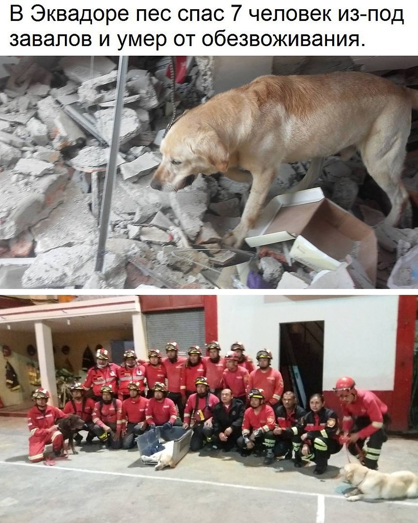 Интересная планета - сообщество путешественников - 24 января 2018 в 05:32