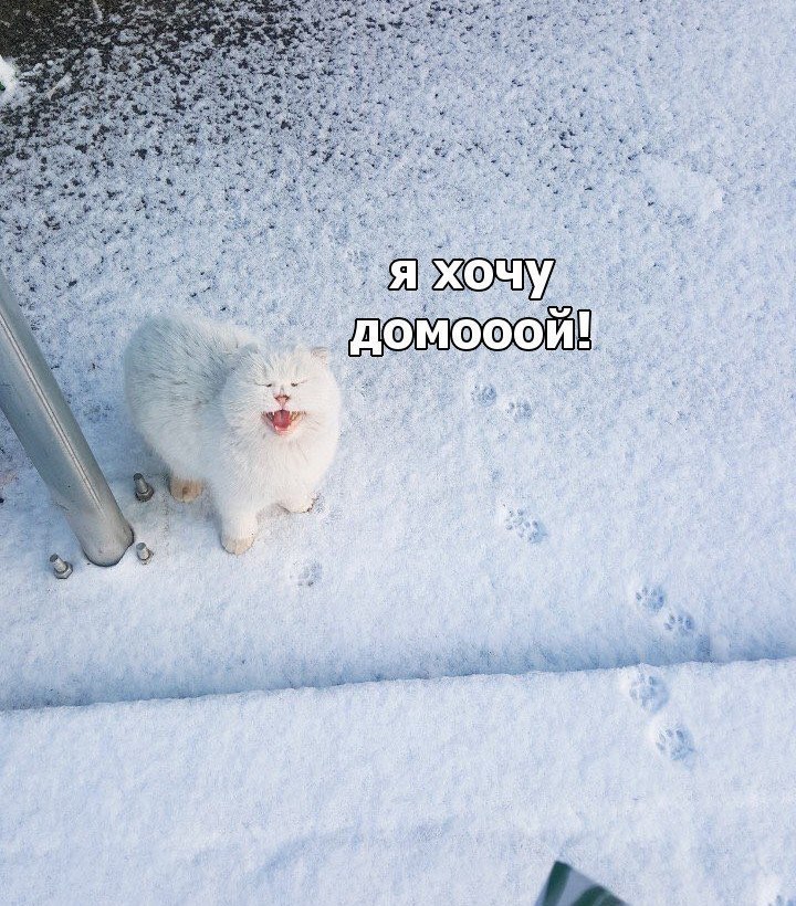  -  - 5  2018  03:44