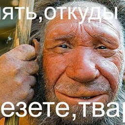 ������, �����-���������, 51 ���