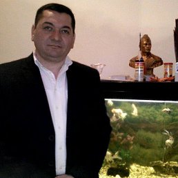 �������, ������, 56 ���