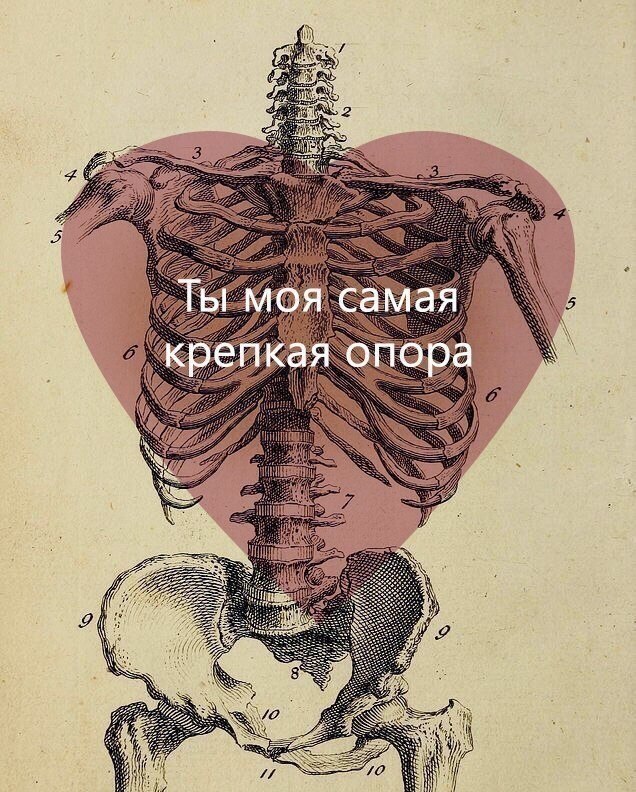 ,          .