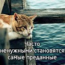 ���� ���������, ��������, 62 ���� - ��������� 29 ������ 2018 � ������ ������ ��������