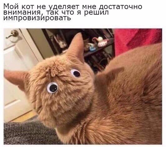   - 24  2018  03:29
