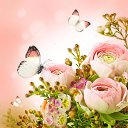 ���� Zita ***, �������, 51 ��� - ��������� 16 ����� 2018 � ������ ���� ����������