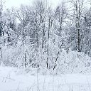  , -5 , 39  -  12  2018    