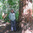 ���� ���������, ������������, 47 ��� - ��������� 3 ����� 2018 � ������ ���� ����������