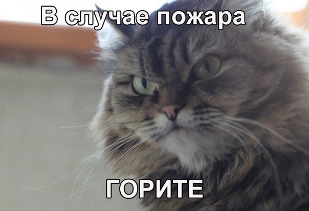   - 20  2017  19:28