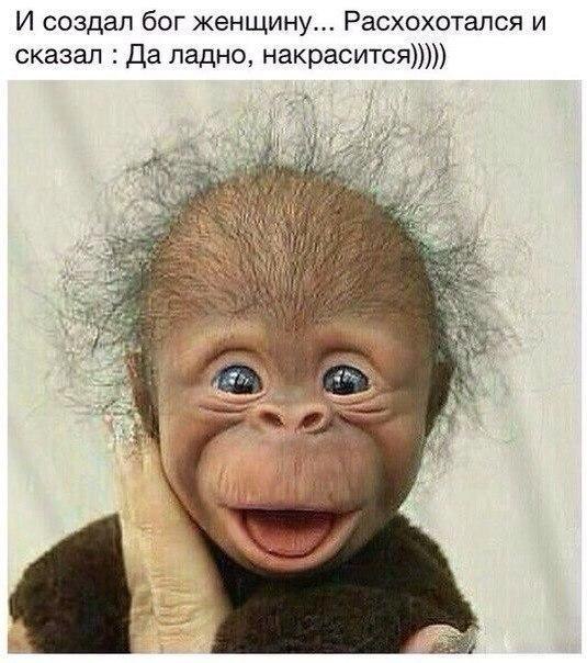     .      , ..   ...