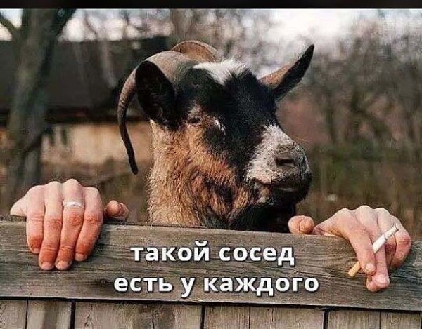 У этих тоже корпоратив.Решают к кому отправиться в ночь с 1 по 8 - 4