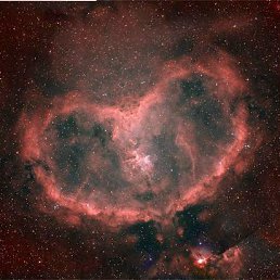 Dima, ����������, 38 ���