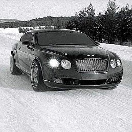 X��������, ������ ��������, 38 ���