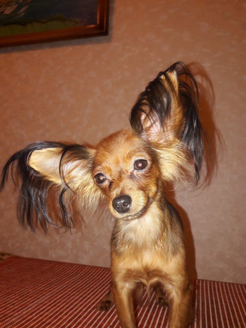  )  )     !   ).  - 11 ... - 2