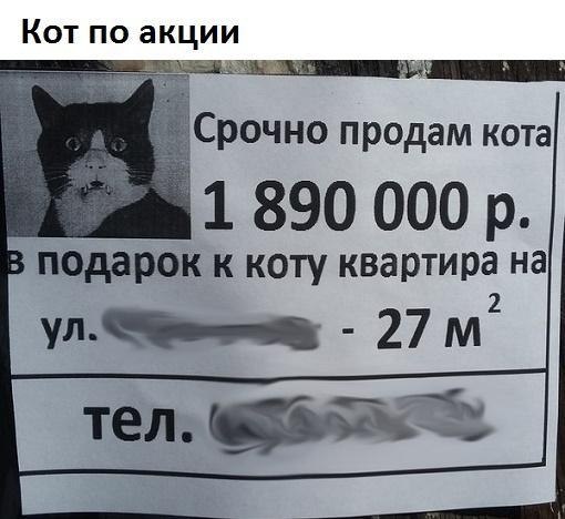    - 27  2018  03:01