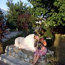 ���� �����, ���� - ��������� 26 ������ 2017 � ������ ���������� ������