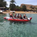 ���� ���, ������, 36 ��� - ��������� 18 ������� 2018 � ������ ������ ��������