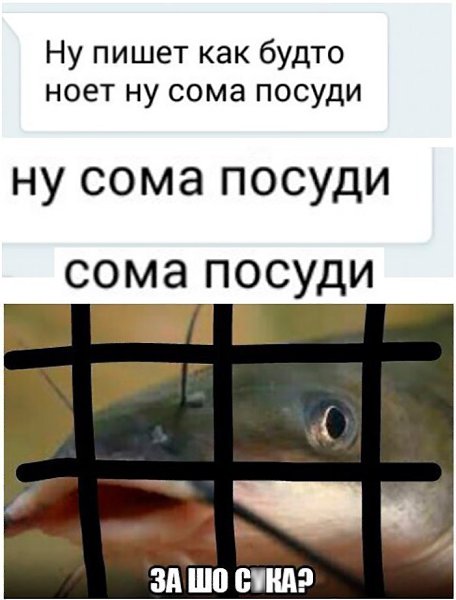    :D - 6  2018  02:36