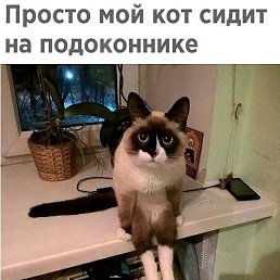 ������, ������, 46 ���