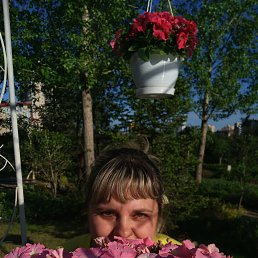 ������, ����������