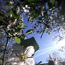 ���� Svetlana, �����-��������� - ��������� 28 ��� 2018 � ������ ���� ����������