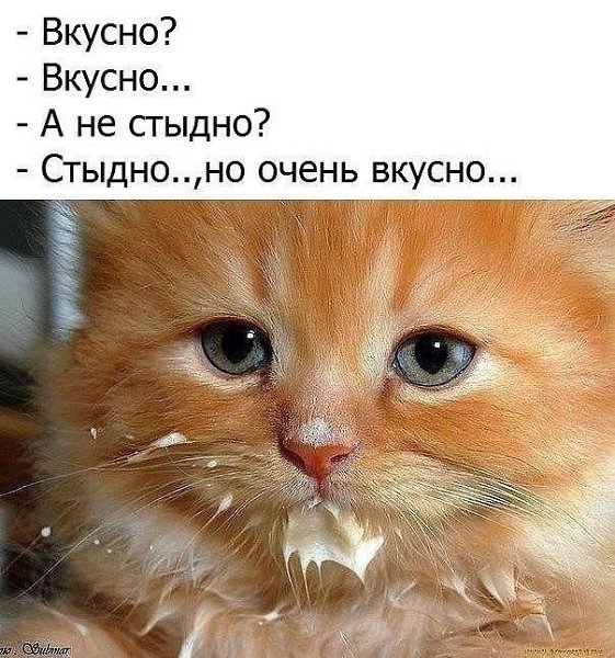 Приятно, когда есть рядом такие люди, которым не важно кто ты, пофиг — какая ты, а просто важно, что ...