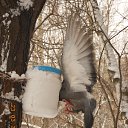 ����� ������ �������! �� ������� ���������.�