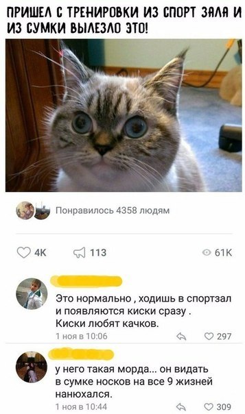   - 1  2018  03:50